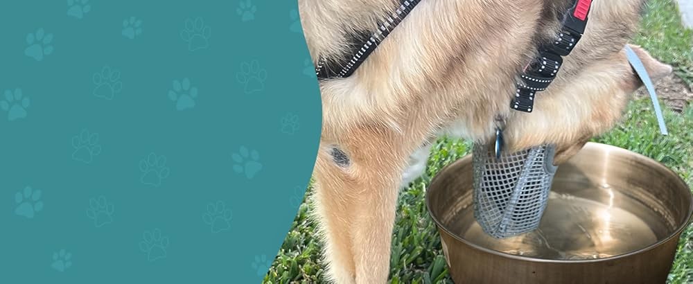 Dog Muzzle, Patented Mesh Muzzles for Small Medium Lar Dogs,