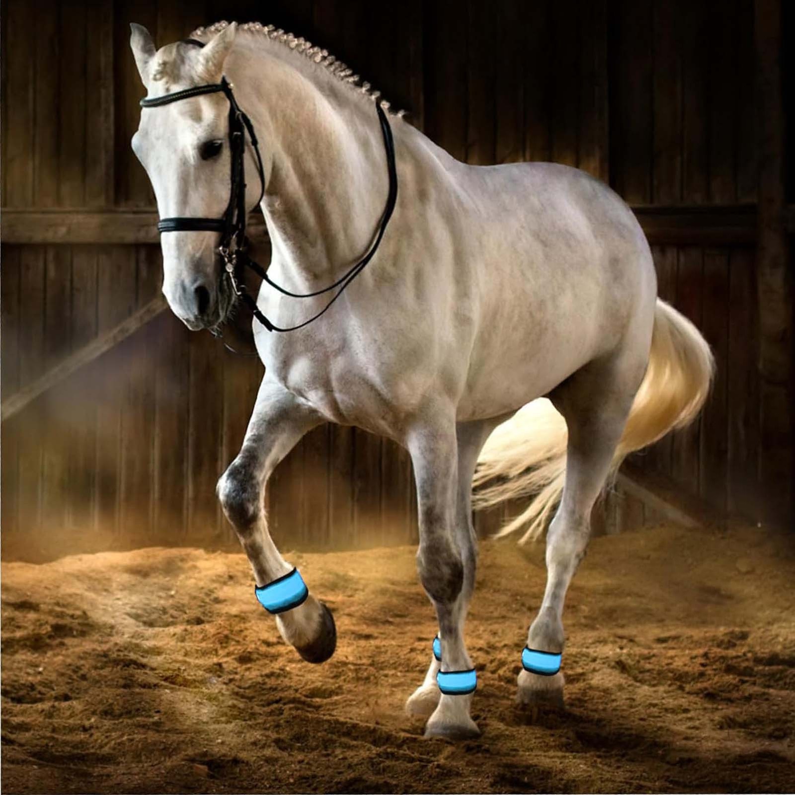 4pcs LED Horse Leg Band Reflective Animals Foot Wraps