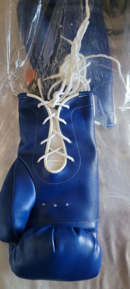 CORONA EXTRA LEATHER BOXING GLOVES
