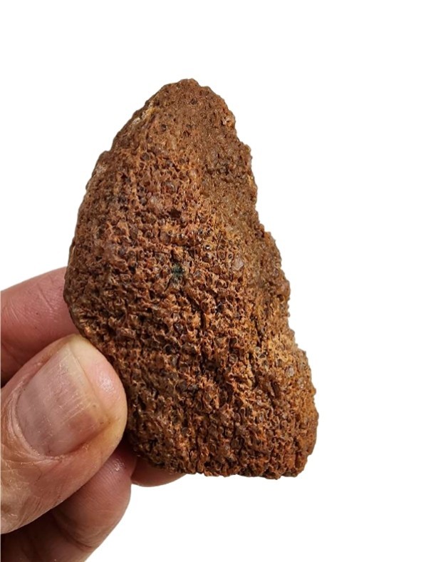 Dinosaur Gem Bone Mini End Slab 20.7 grams.