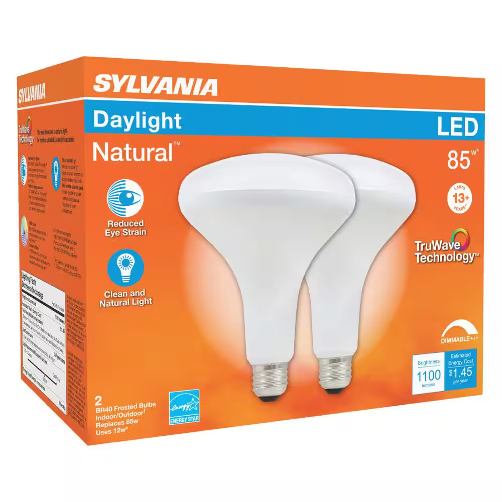 85-Watt Equivalent BR40 Dimmable LED Light Bulb in 5000K (2-Pack)