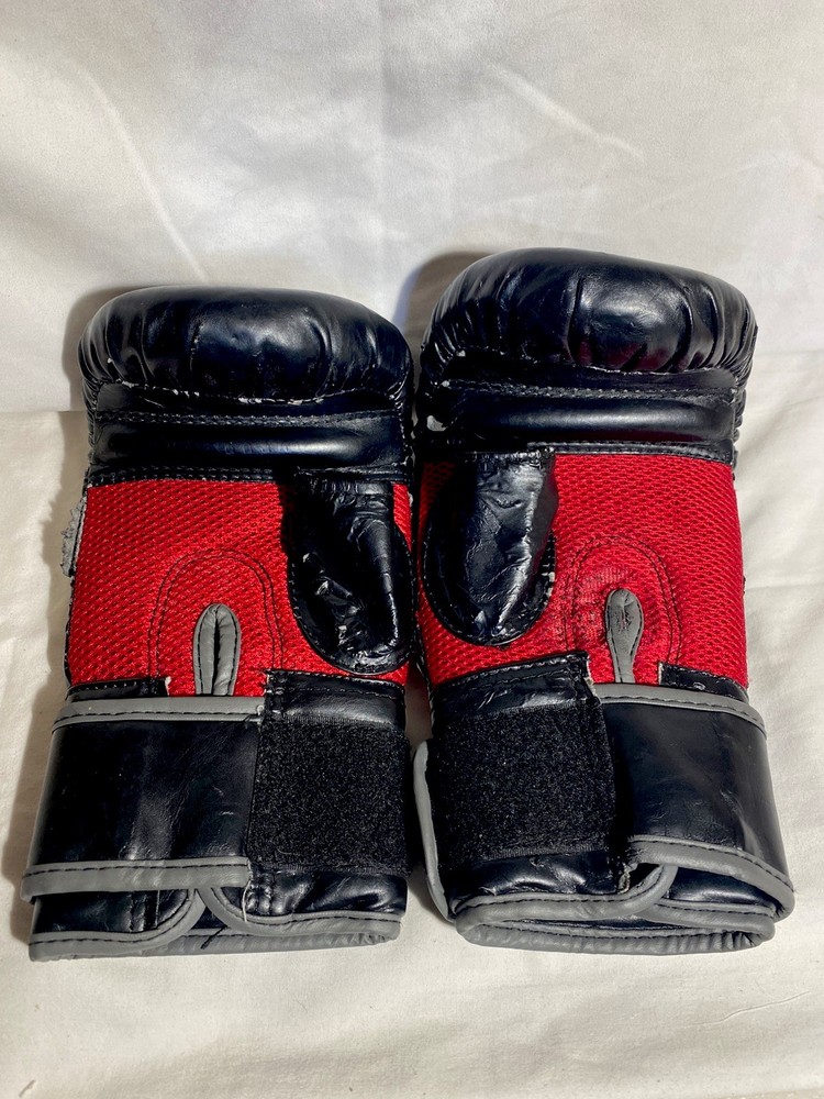 Everlast Boxing Training Gloves & Training Pad