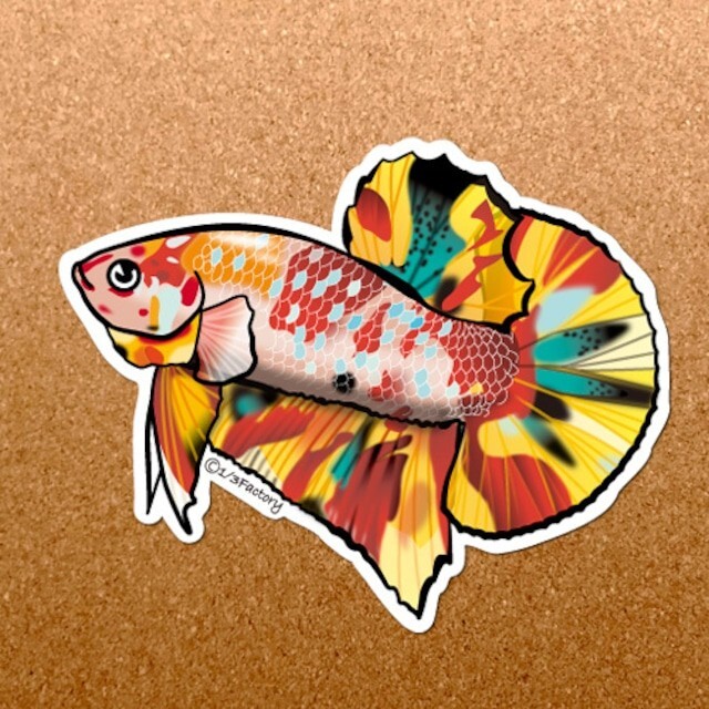 plakat betta stiker