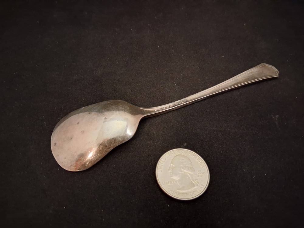 VintageOneida Silversmiths Sugar Nut Spoon Silverplate