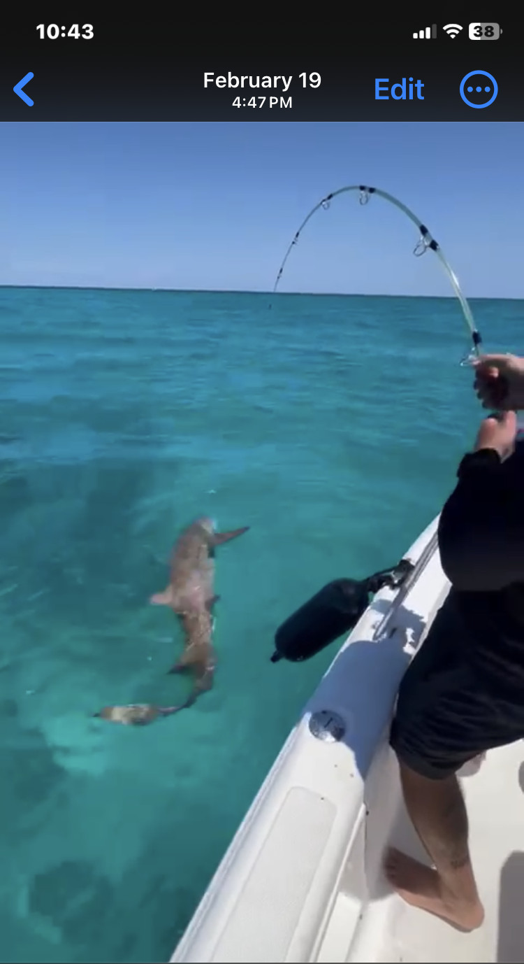 Spinning Rod - LARGO STICK I 7ft 1 Section 7 guides -Hook holder - Not Ugly