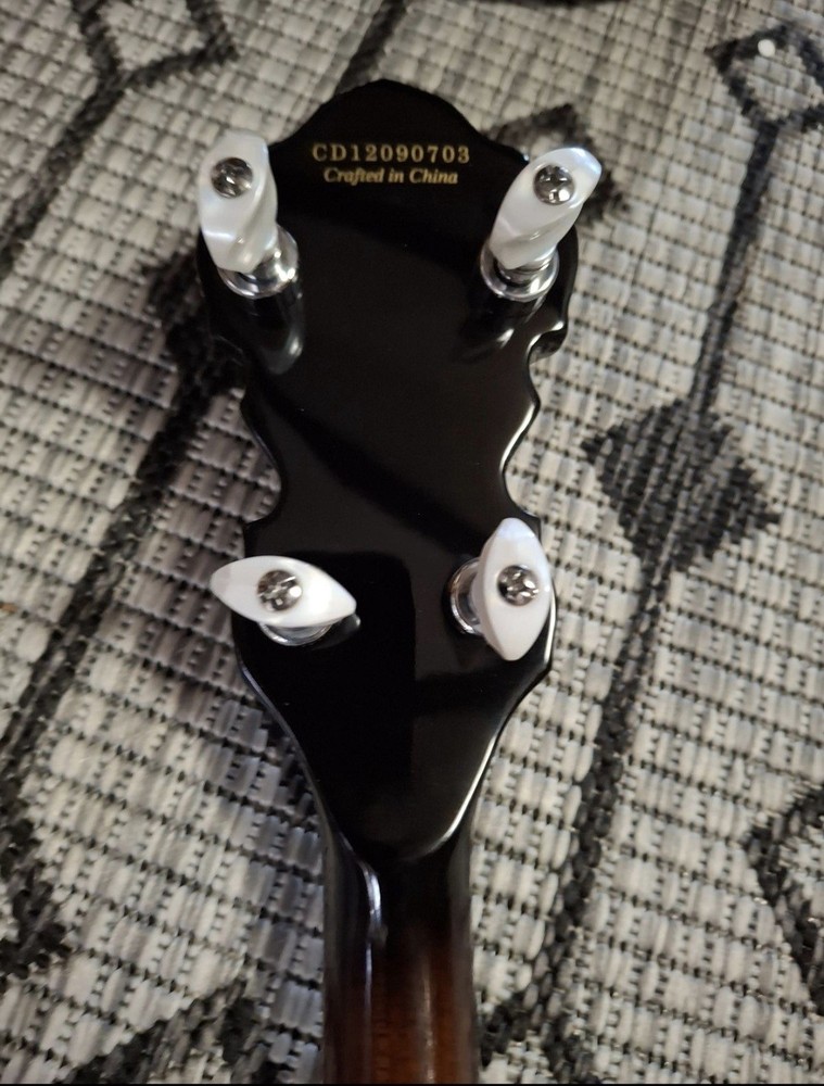 Fender FB55 5 String Banjo