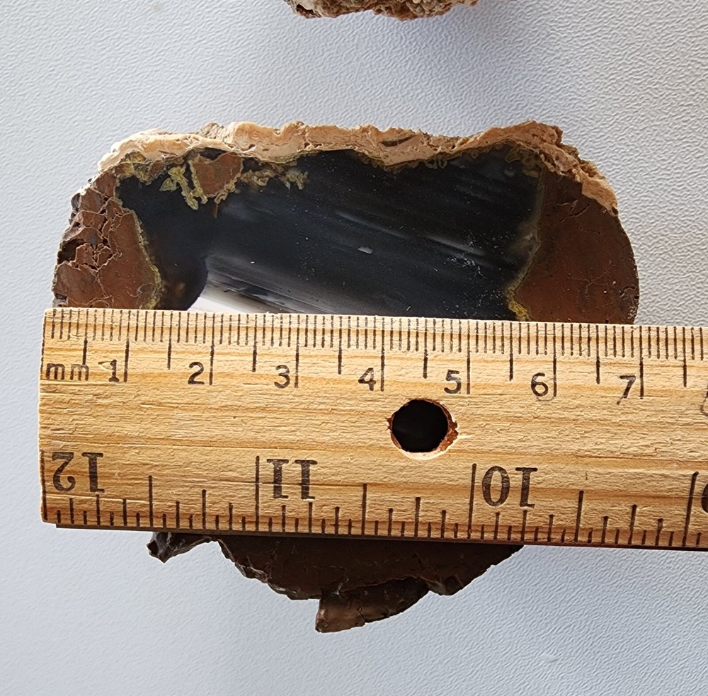 Priday Agate Oregon cut in half unpolished