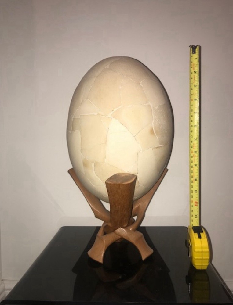 Reconstructed Elephant Bird Egg