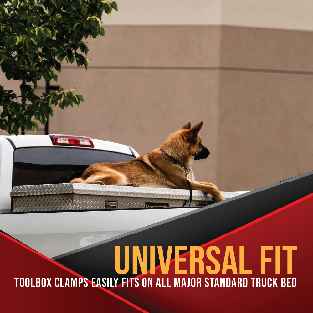 Boxer Toolbox Truck Clamp, Universal Aluminum Tie Down 4 Pack