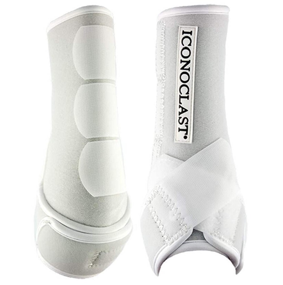 Iconoclast Orthopedic Boot Hind