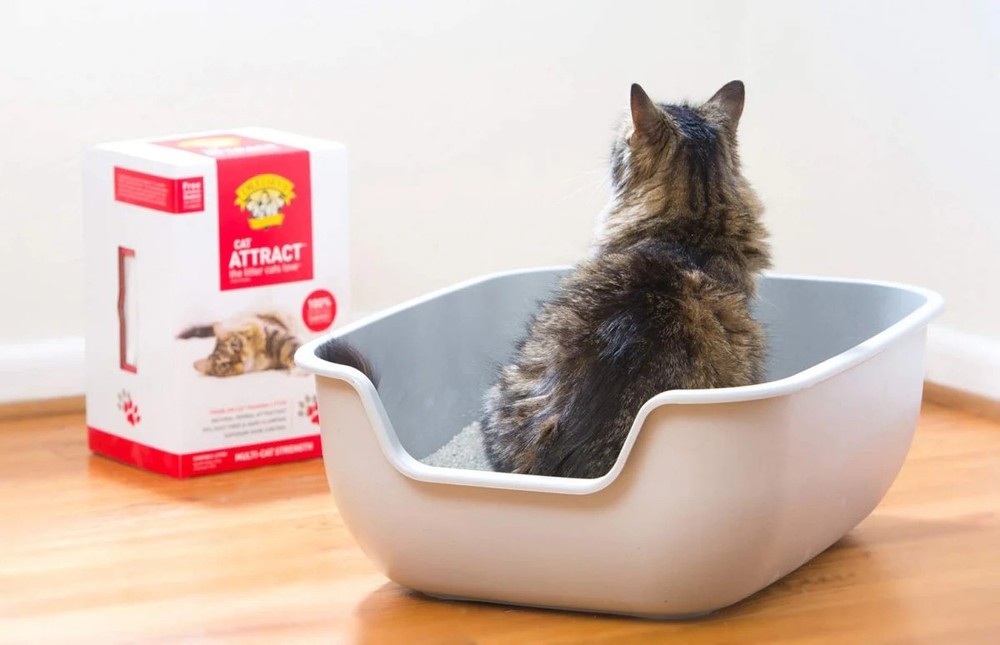 Dr. Elsey's Precious Cat Attract Problem Cat Training Litter - 20 pound box