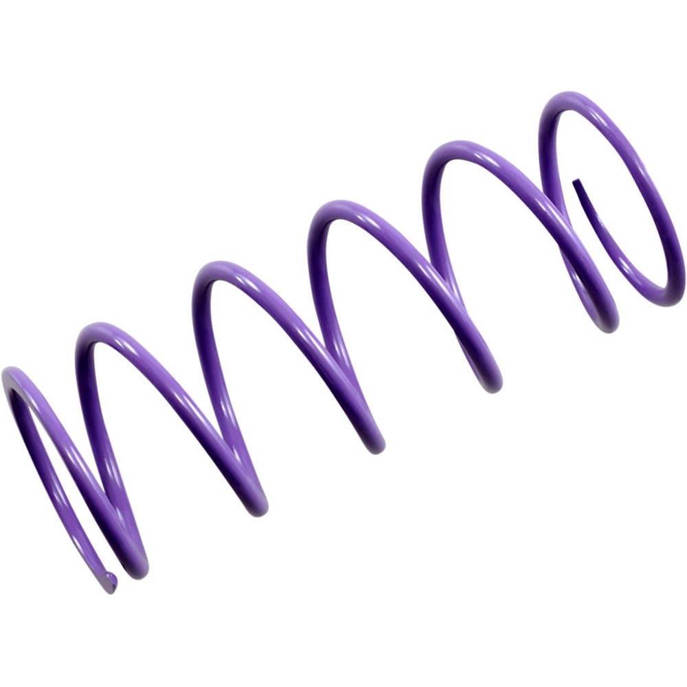 EPI Primary Spring - Purple PATV4