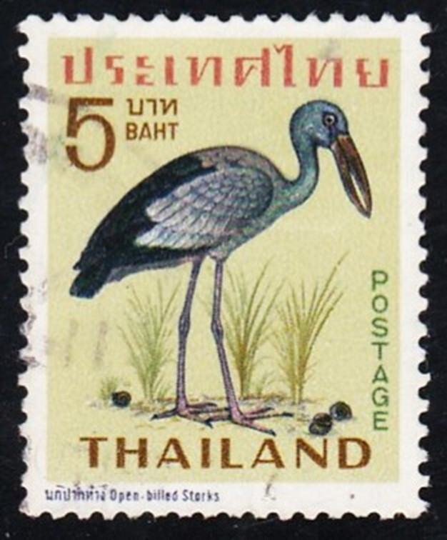 THAILAND - Sc 476 - LOOK!