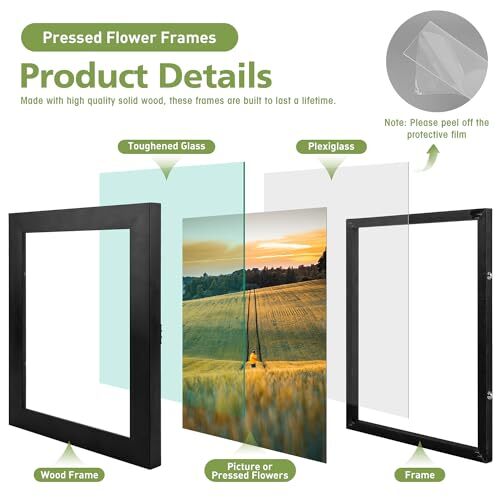 Solid Wood Floating Picture Frame Pressed Flower Frame with Hanging Hardware