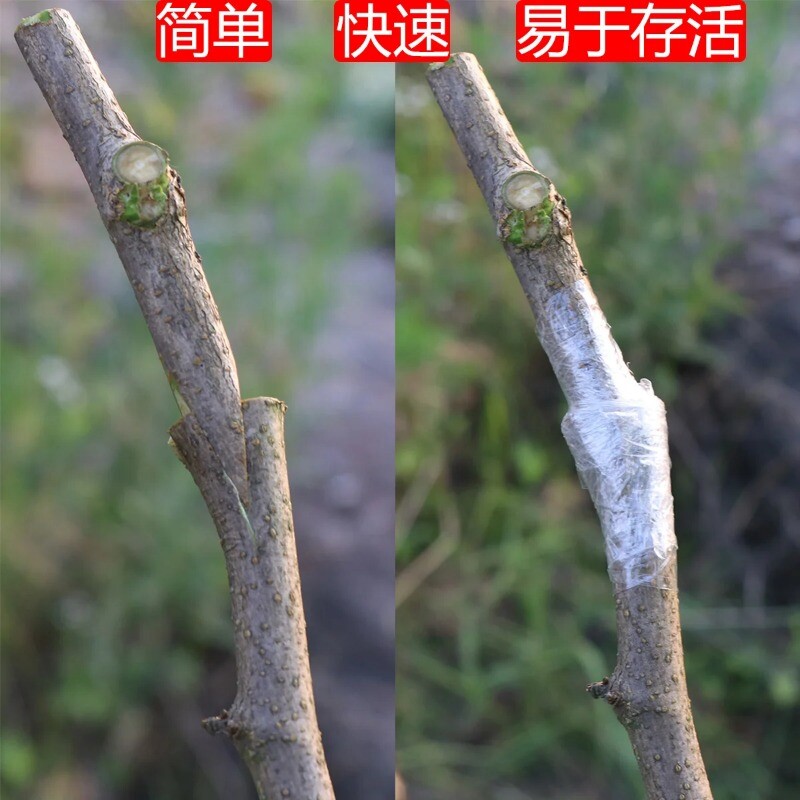 Grafting Machine J60 Multifunctional Grafting Tool for Fruit Tree Seedlings