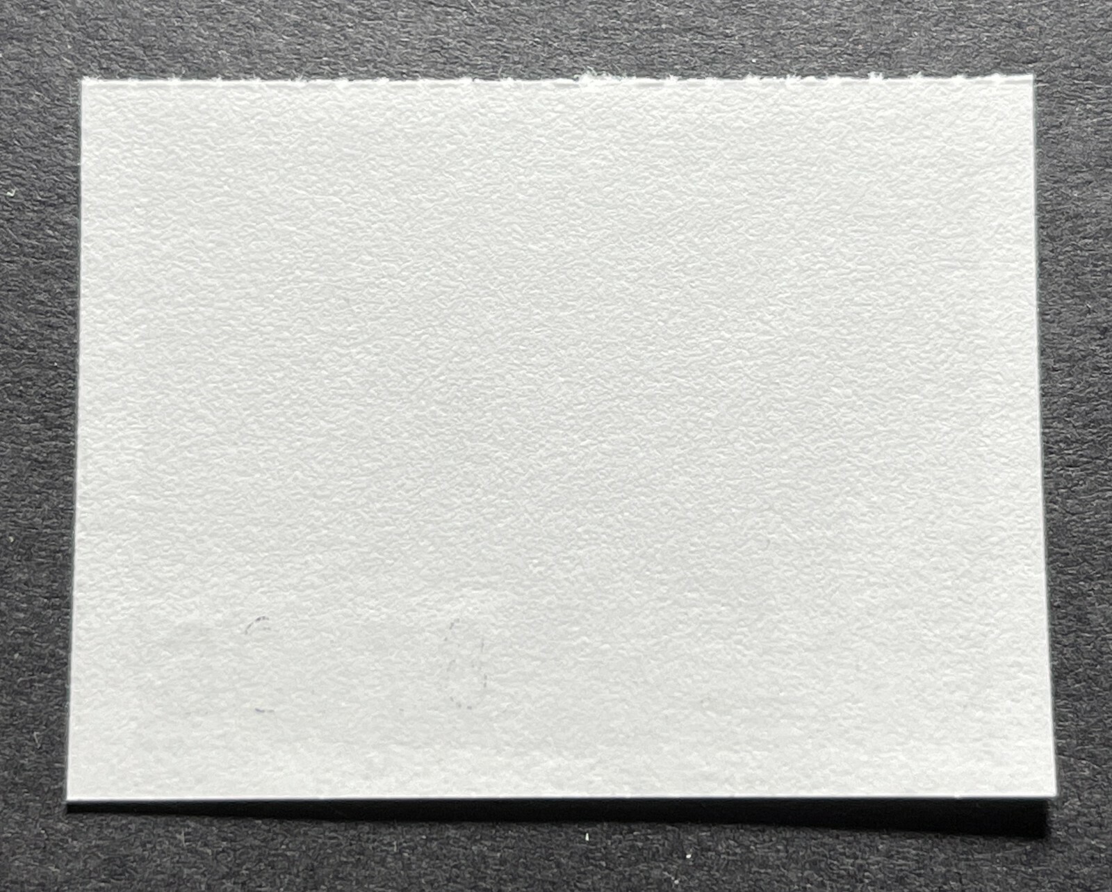 WTDstamps - 1998 SOUTH DAKOTA - State Wildlife Habitat Stamp - Mint OG NH