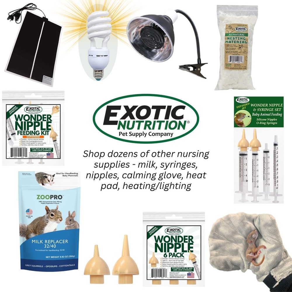 Baby Squirrel Nursing Set (Basic) - Milk Replacer, Feeding Syringes
