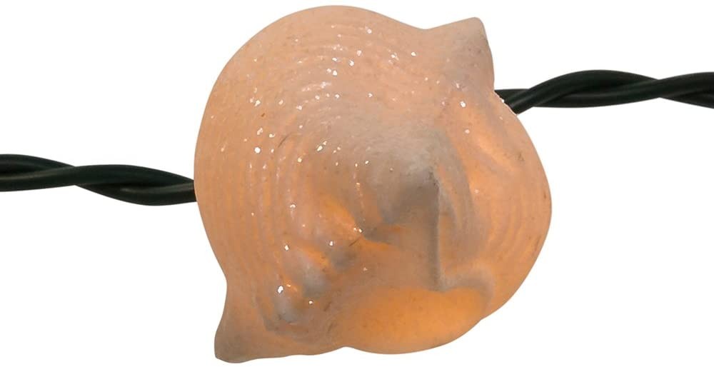Shell and starfish light set
