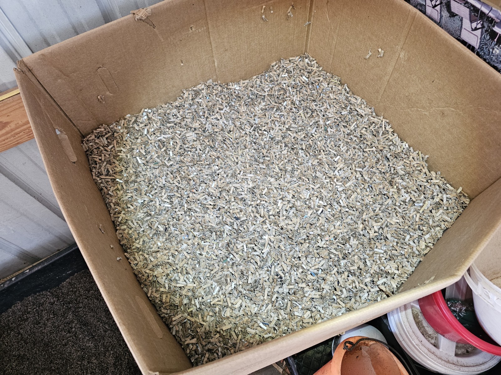 🪱1/2 lbs. Red Wiggler Worm Farm Starter Kit🪱 (Worms/Food/Bedding/Inoculant)