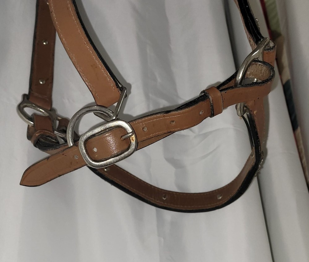 Showmanship Halter - silver embellishments