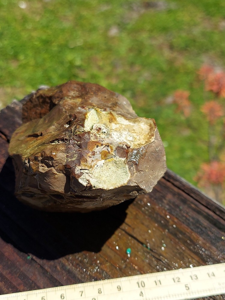 Biggs Jasper Rough Non Blue Variety