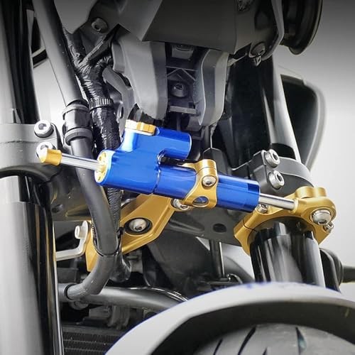 Adjustable Steering Damper Stabilizer with Mount Bracket Compatible with Black
