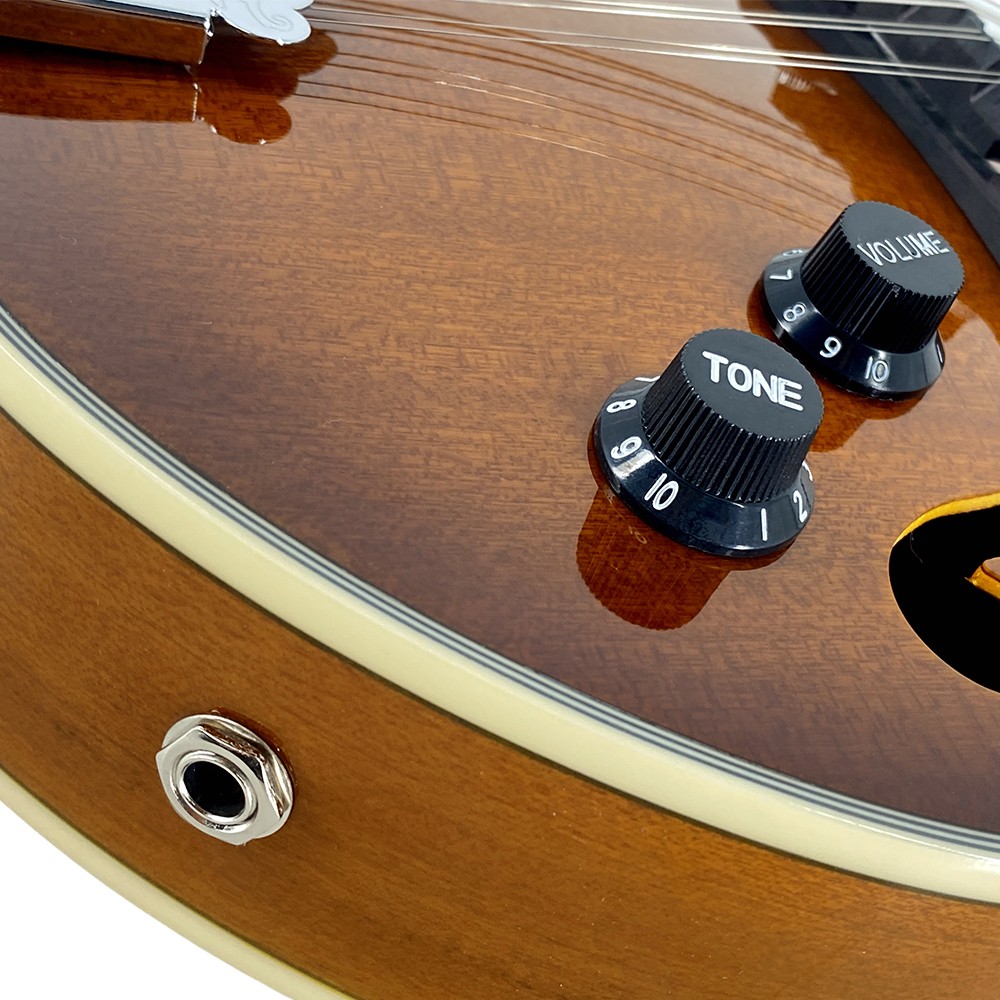 Acoustic Electric Mandolin Kit, A-Style 8String Mahogany Mandolin,Starter Bundle