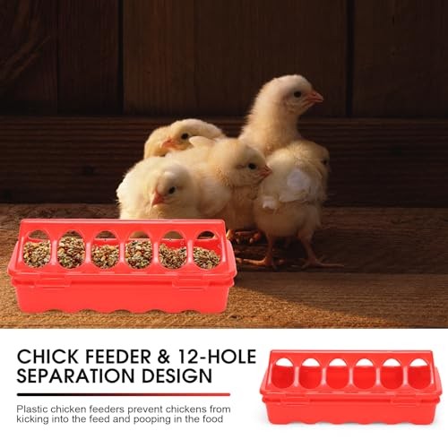 Chick Brooder Box,Chick Starter Kit with Chicken Brooder brooder plate L