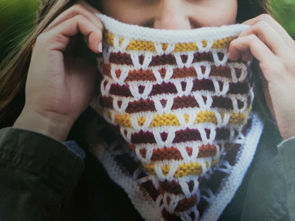 STASHBUSTERS CUTE &COZY BY KNIT PICKS