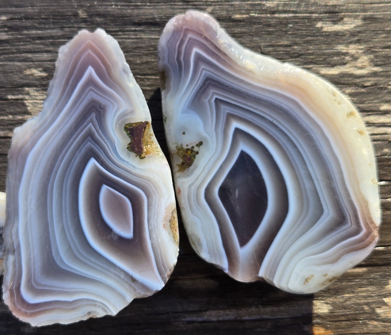 Botswana Agate Cut In Half - Rough, Natural, Not Polished