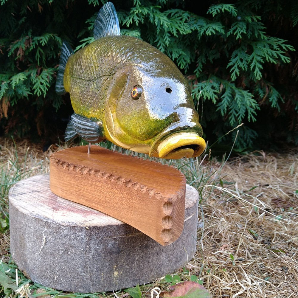 Tench Fishing , fish