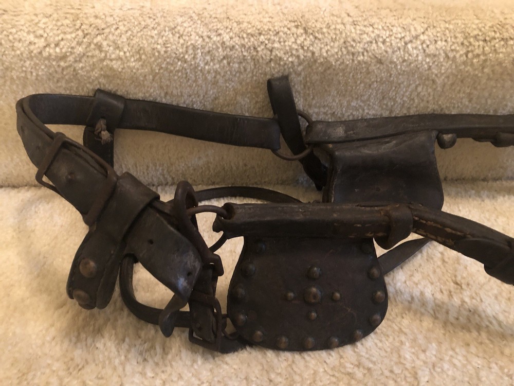 Horse Blinder Vintage