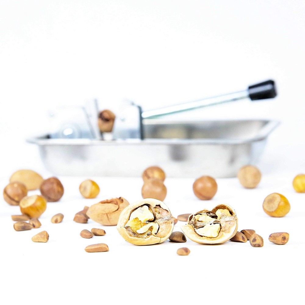 Mechanical Heavy Duty Nut Cracker Walnut Pecan Hazelnut Sheller with Storage ...