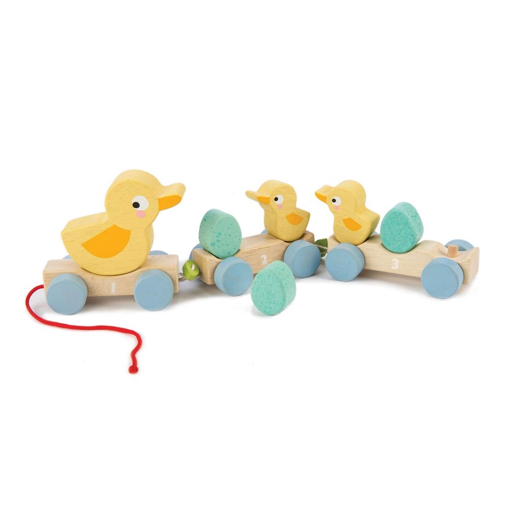 Pull Along Ducks,Pull Toys