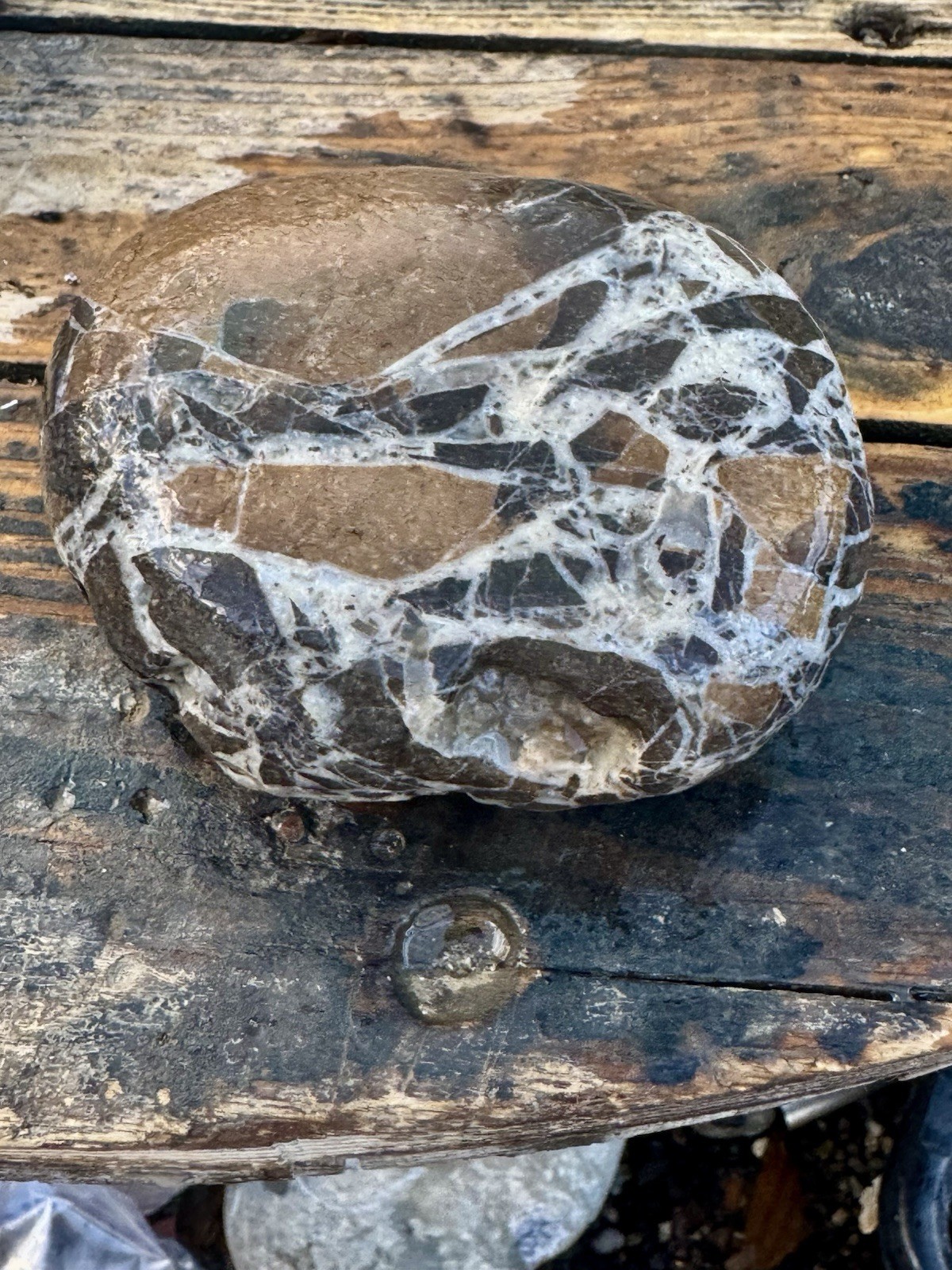 Rocks For Sale Beautiful Matrix Conglomeration Stone Rough Unpolished