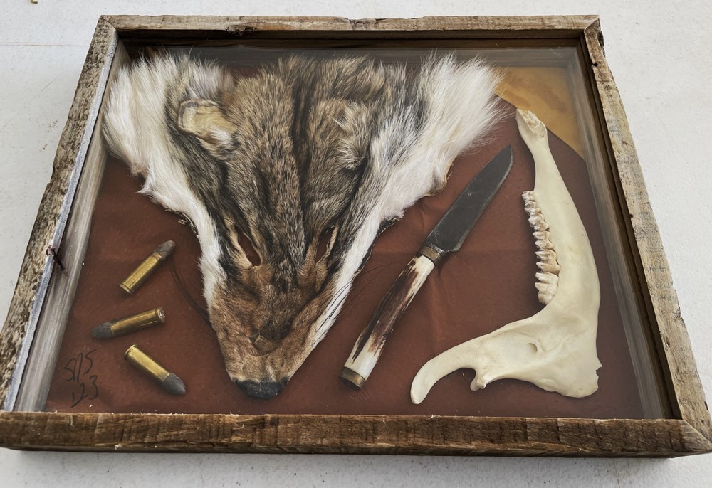 To Catch a Predator - Old West Shadow Box