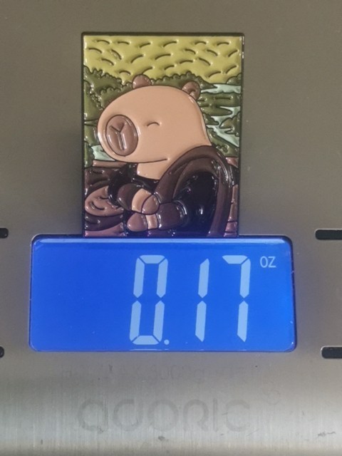 CAPYBARA FUNNY Pin Badge Patch New High Quality