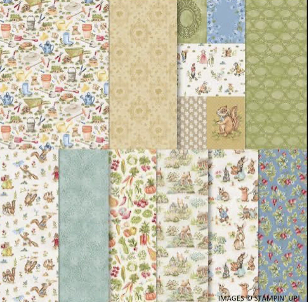 STORYBOOK MOMENTS Designer Series Paper DSP Stampin Up 12 X 12 Full Pack 2602