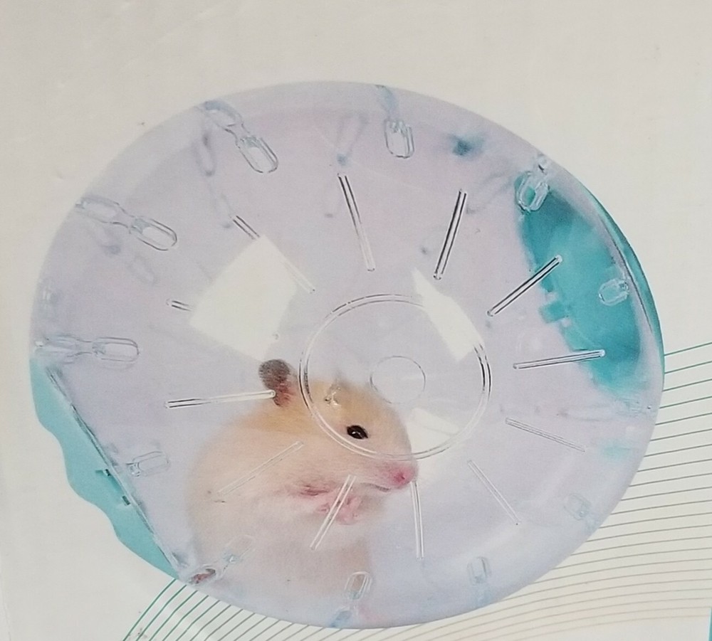Crystal Activity Exercise Ball for Hamster New in Box
