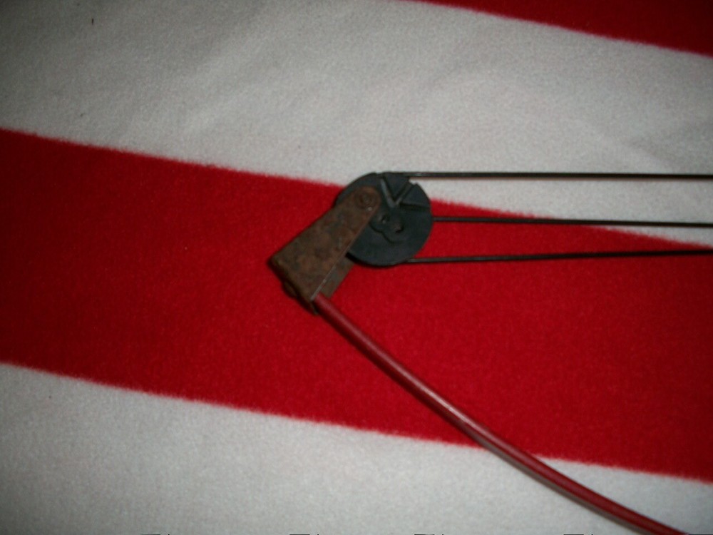 Bear Panda Bear Youth Compound Bow