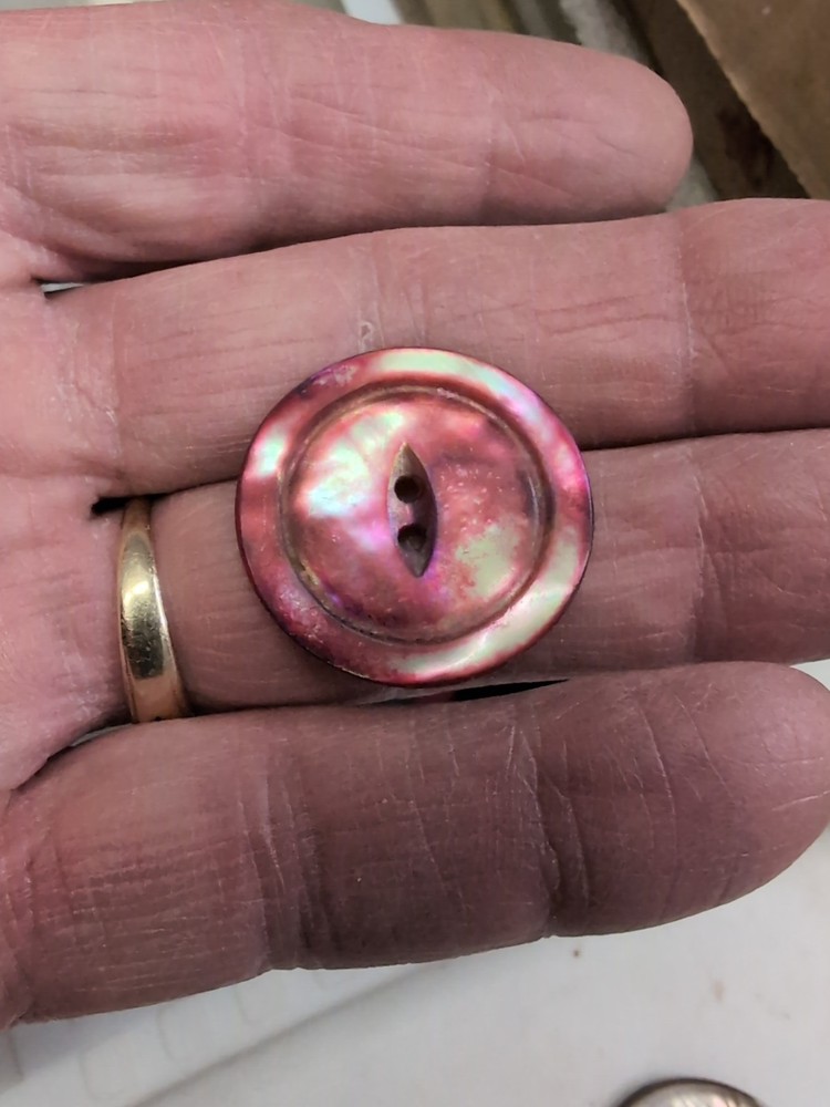 (10) Ablone Shell Buttons