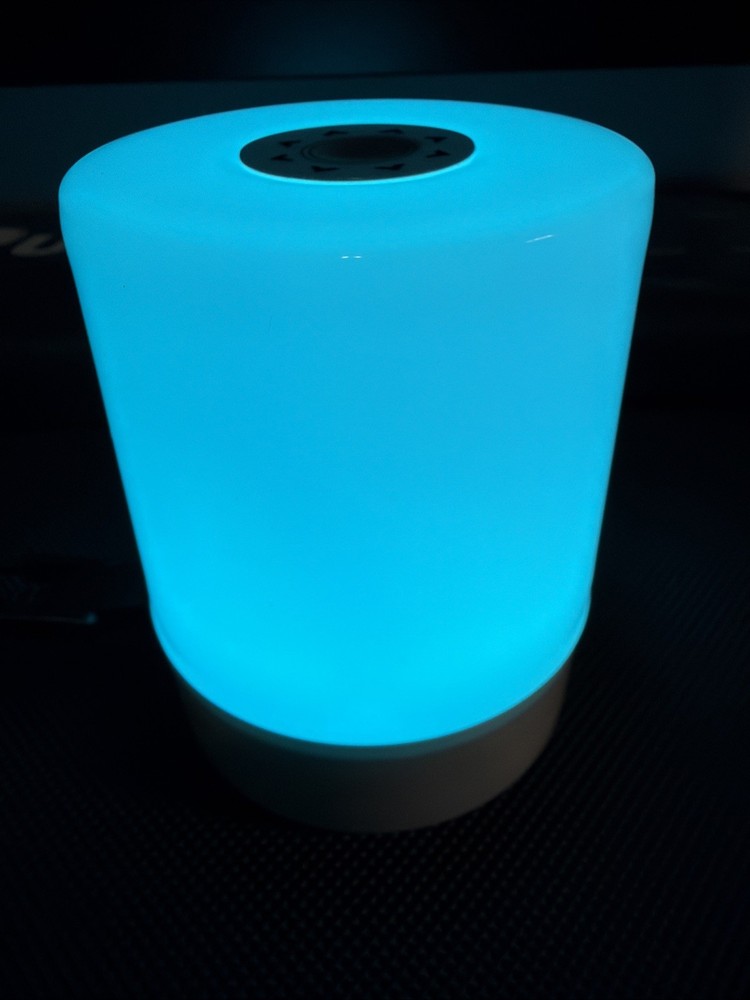 BEDHEAD Night Light LED Bedside Desk Table Lamp Dimmable USB Rechargeable
