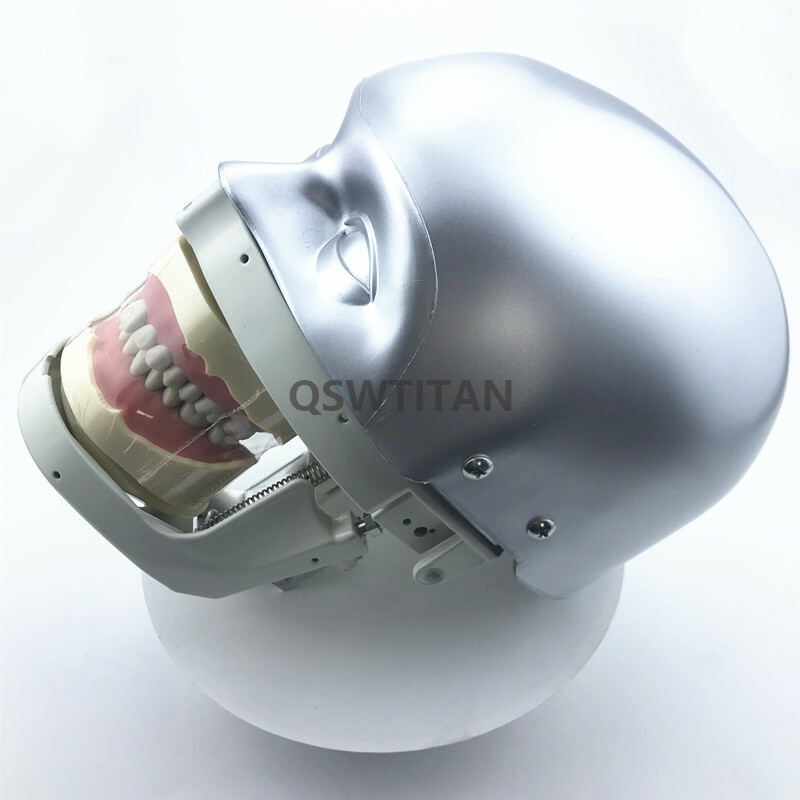 Dental Simulator Manikin Phantom Head practical exercises Head model