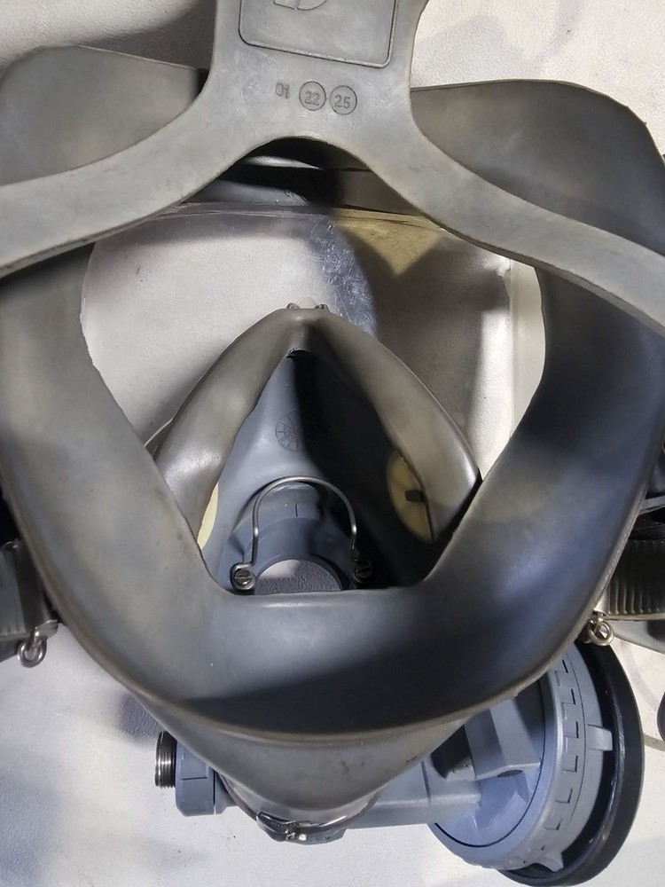 INTERSPIRO Divator Full Face Mask