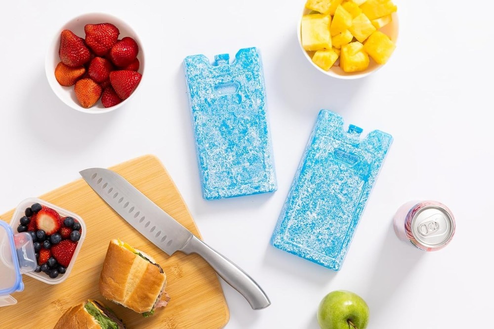 Igloo Medium Ice Block Duo - Compact, Leak-Proof Solution for Outdoor Fun