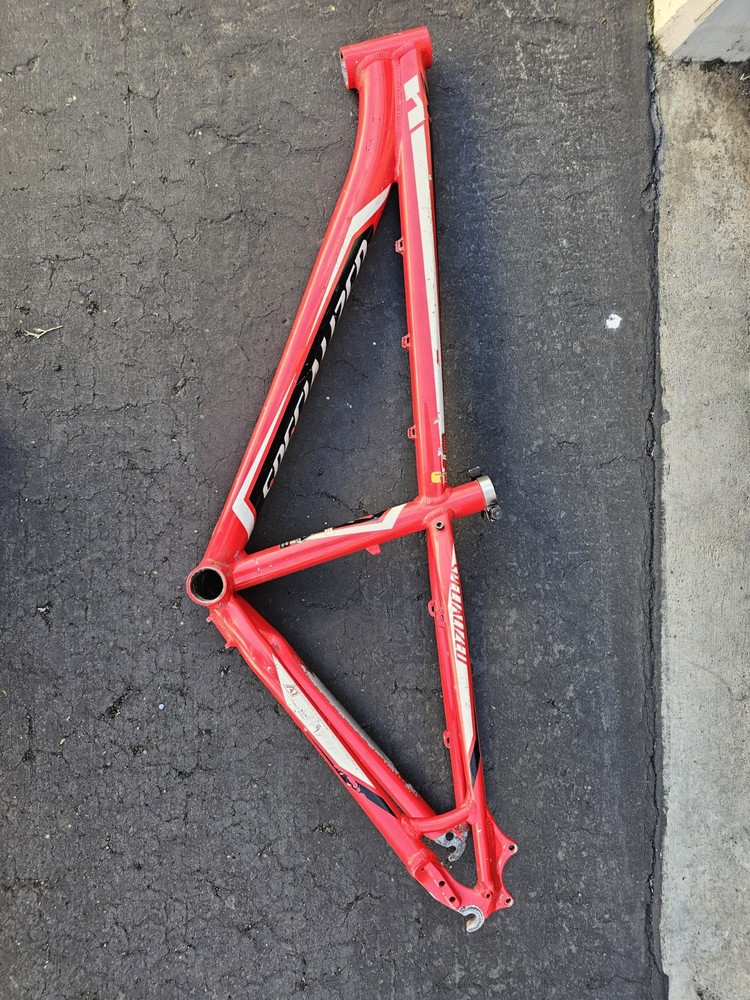 Specialized Frame
