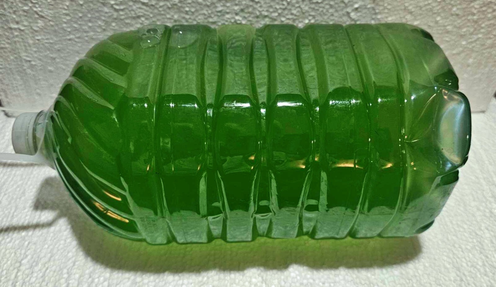 Rich Green Water (chlorella) 13oz Clean indoor cultures. Free Shipping