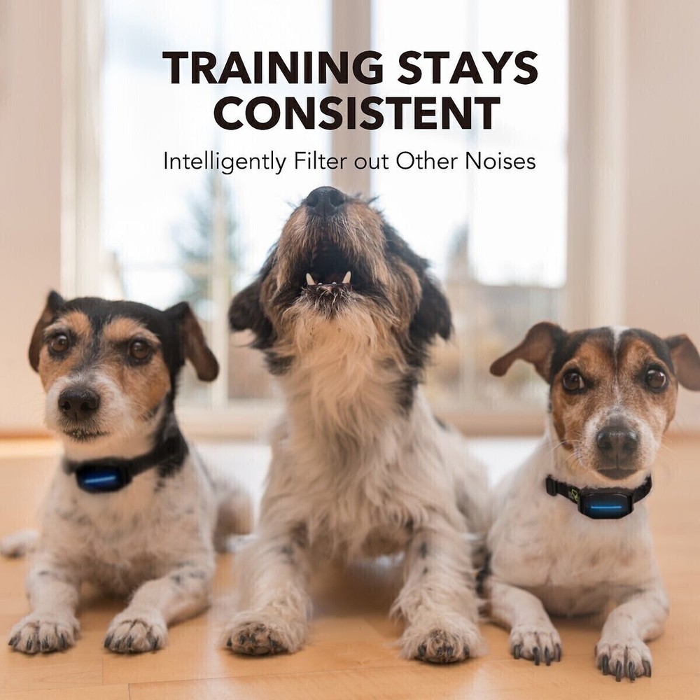 2Pcs Dog Bark Control Shock Collar Two Safe Training Modes for Pets Rechargeable