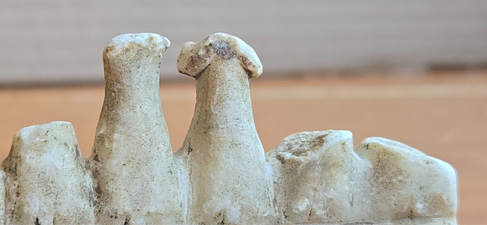 Antique Andean Carved Stone Illa Talisman Amulet Pre-Columbian Peru Andes