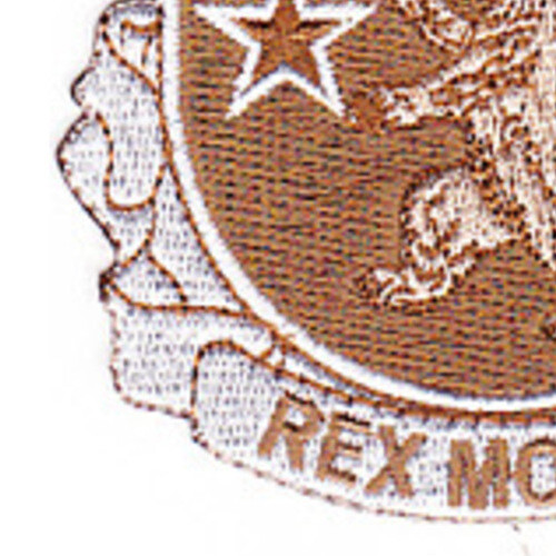 136th Infantry Regiment Patch - Desert